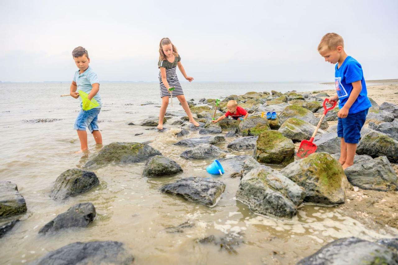 Camping Scheldeoord Baarland 외부 사진